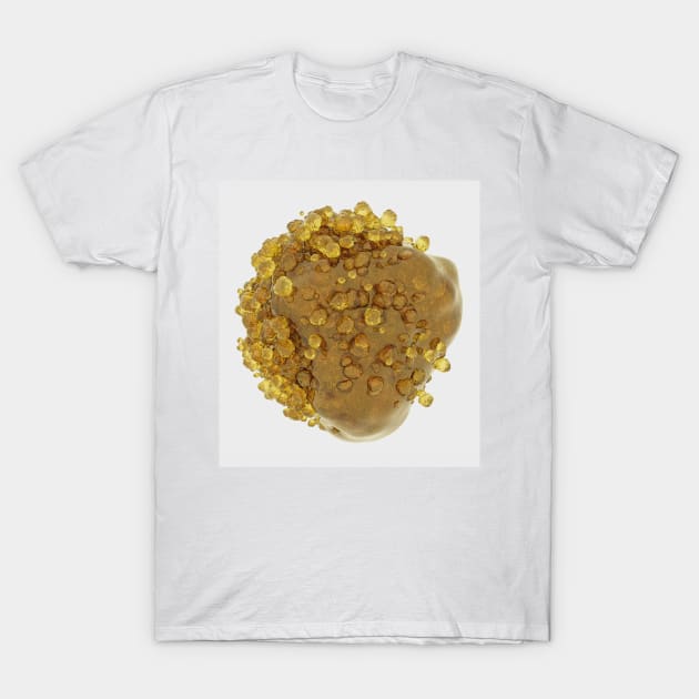 Amber cristal T-Shirt by kamilowanydesign